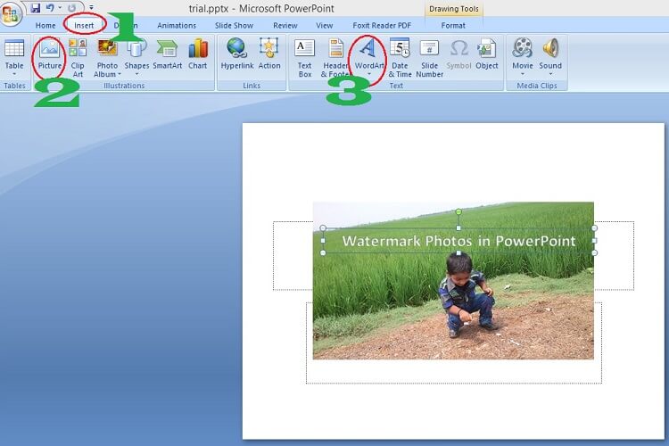 How to watermark photos in PowerPoint