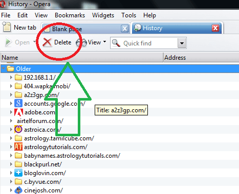 Delete History option in Opera Browser