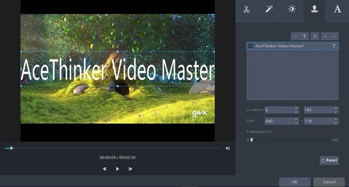 AceThinker Video master editing features