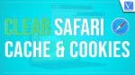 Clear Safari Cache and Cookies