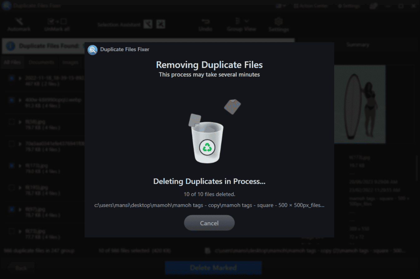 Deletion Process in Duplicate Files Fixer