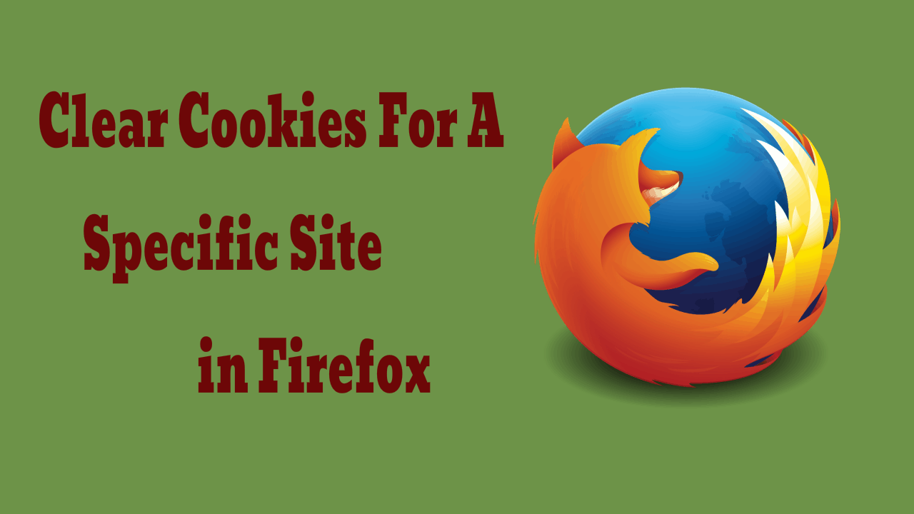 2 Ways To Clear Cookies For A Specific Site In Firefox [2024] - Whatvwant