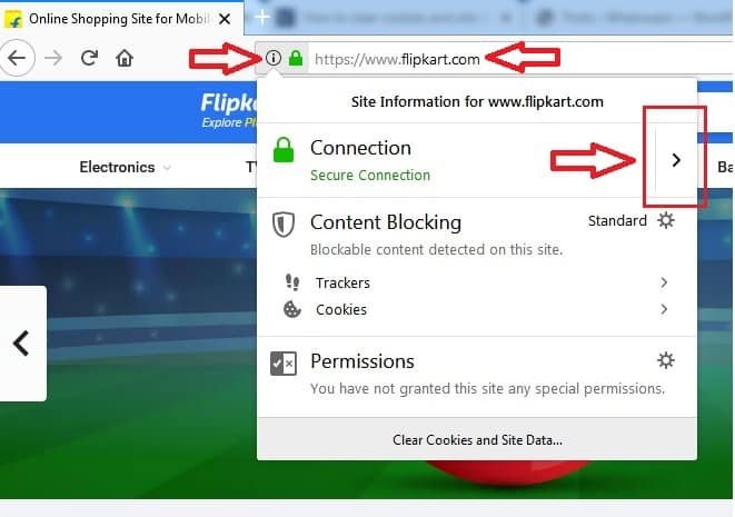 secure-connection-option-on-mozilla-firefox-whatvwant