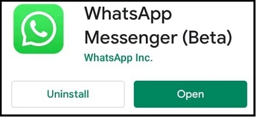 WhatsApp Messenger Beta Version