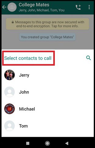 Group-Members-in-a-WhatsApp-Group