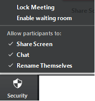 Security-options-during-ongoing-Zoom-Meetings
