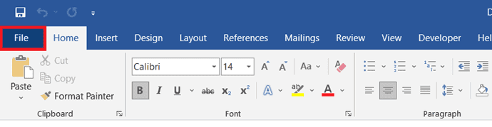 File option in Microsoft Word