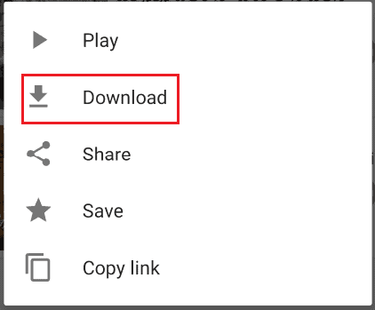 download option for video