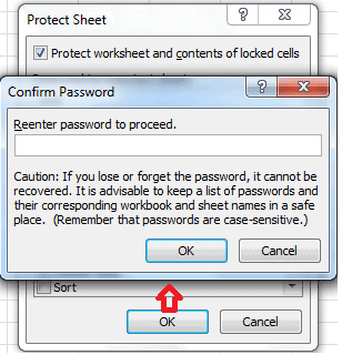 Password protect excel