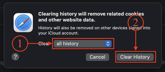 Clear History Option in Safari