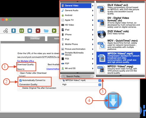 Output Quality in Allavsoft