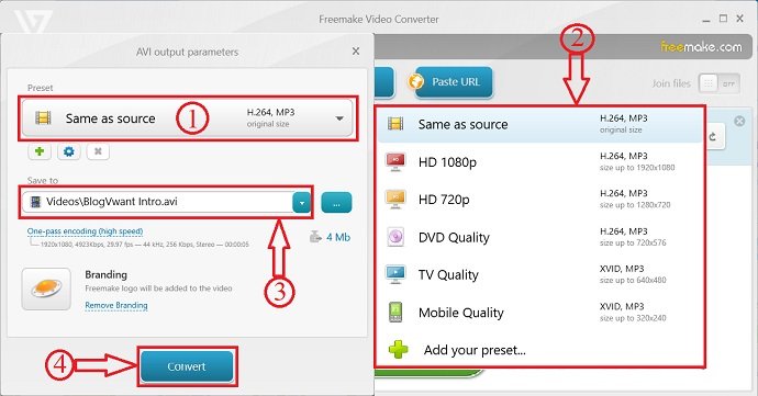 Freemake Video Converter output parameters