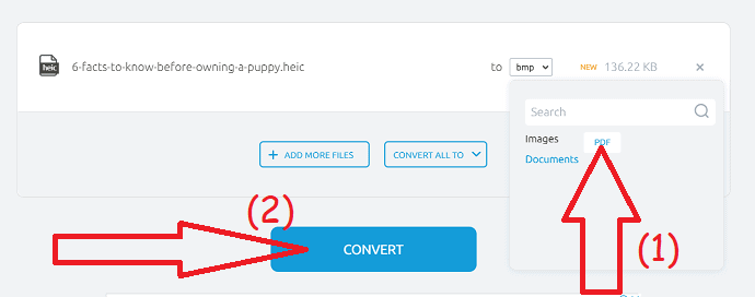 Click on the convert option.