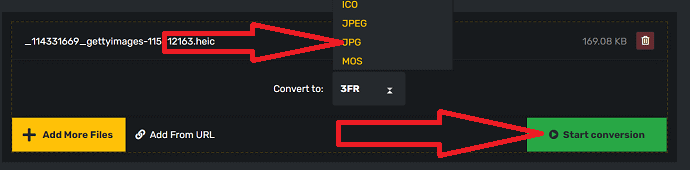 select the output format and click on start conversion.