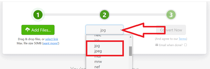 Choose the output format