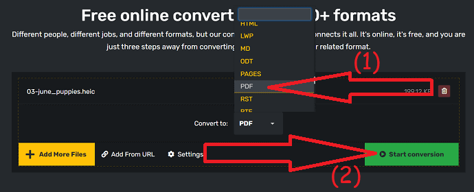 Select the output format and start conversion.