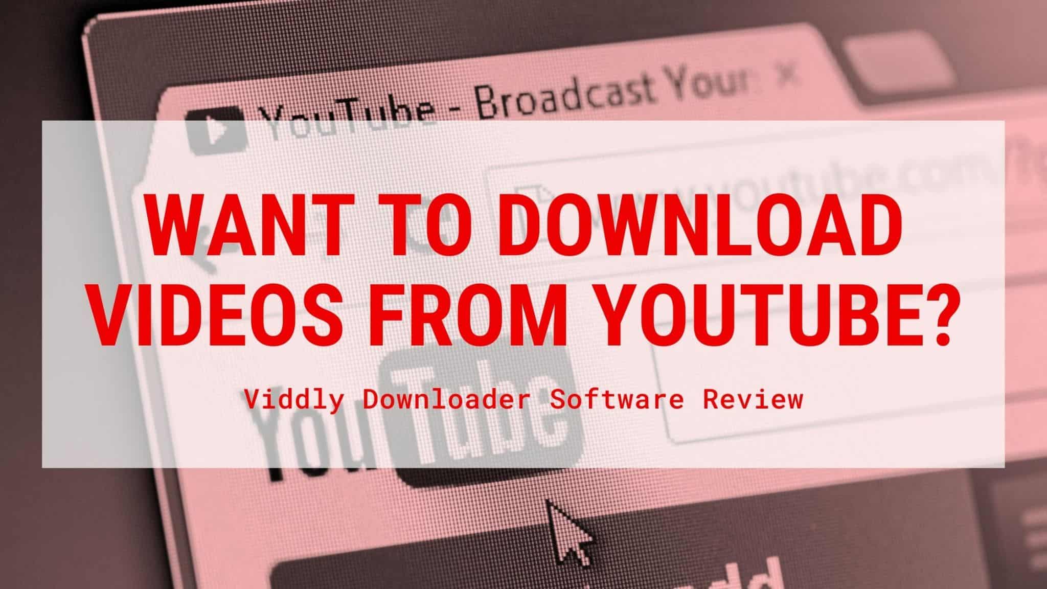 Viddly YouTube Downloader Review