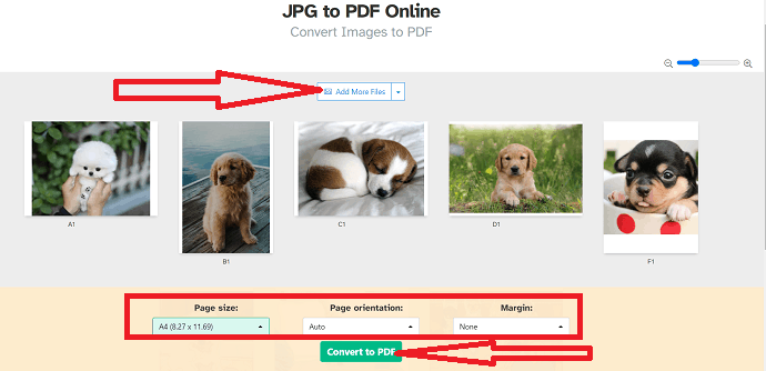 select the page size orientation ad margin and click on Convert to PDF