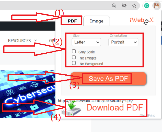 Tap on Download PDF option