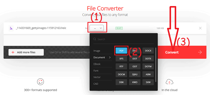 select the output format and click on convert