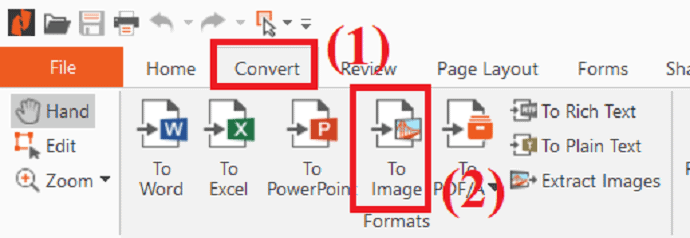 convert PDF to image