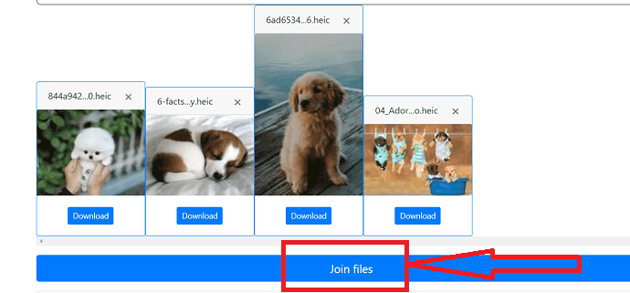 Selection of join files option.