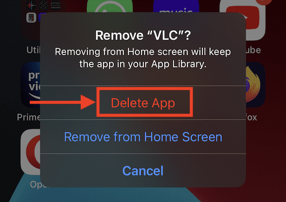 Delete Option