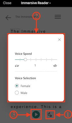 Voice options in Immersive reader