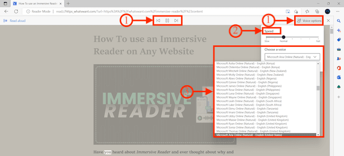 Read Aloud options in Immersive Reader