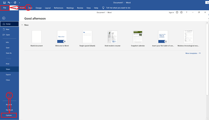 Option in Word