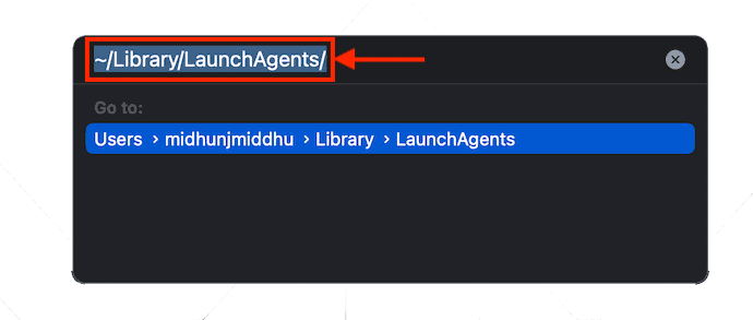 Path to LaunchAgents