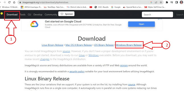 Download button