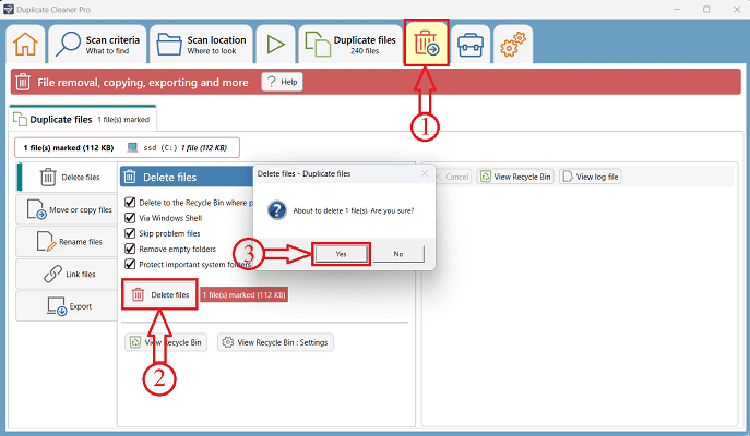 Delete option in Duplicate Cleaner