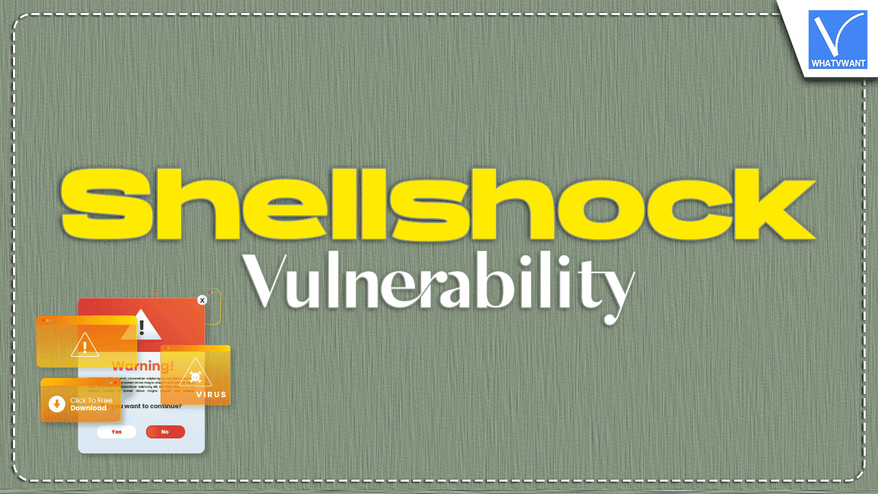 Shellshock Vulnerability