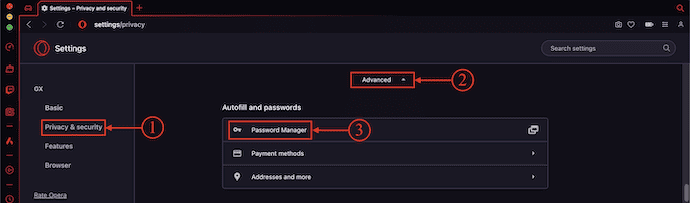 How To Import Passwords To Opera GX [2024] - Whatvwant